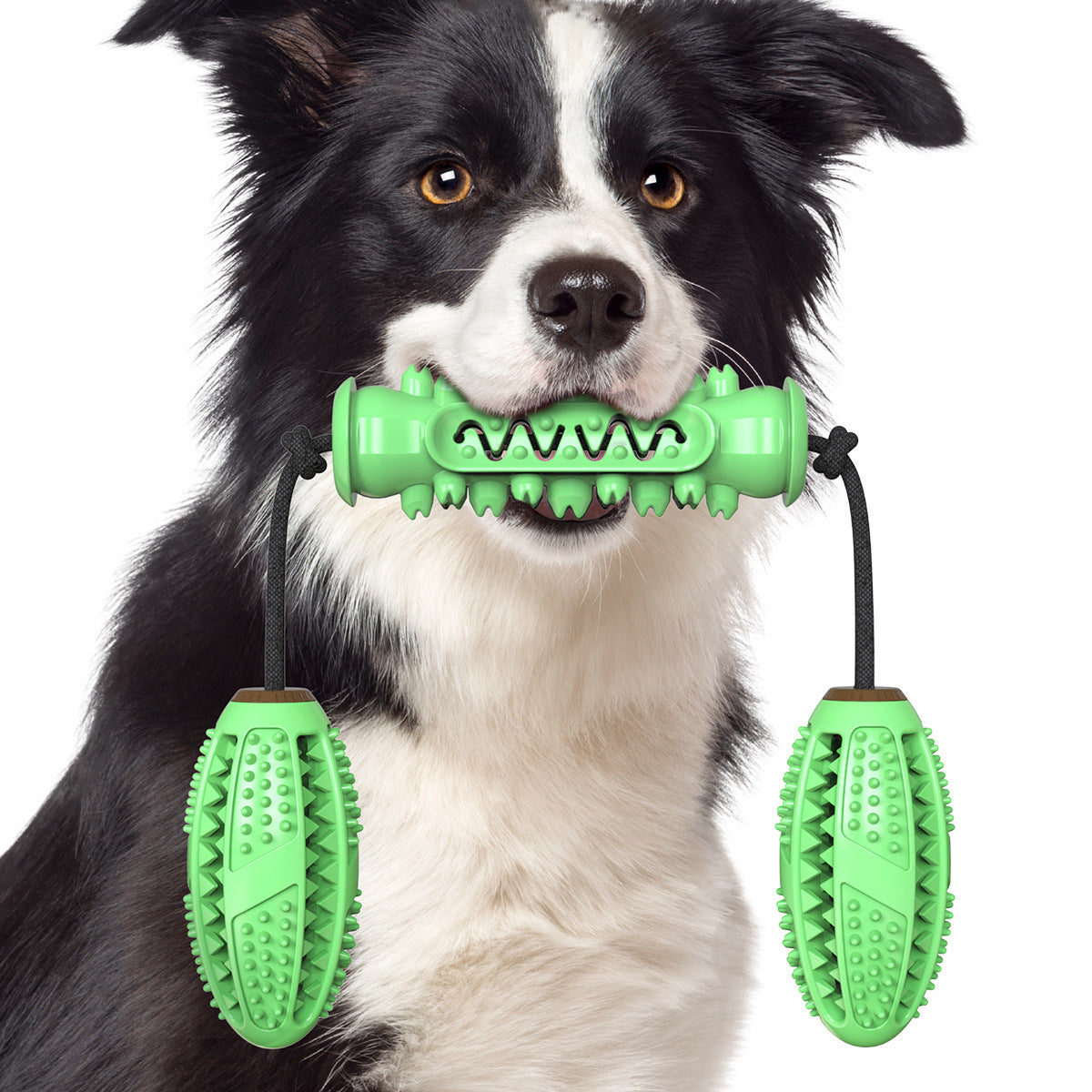 Dog Toy Molar Stick Bite Resistant Toothbrush Dog Toy With Rope 3 Pet Products