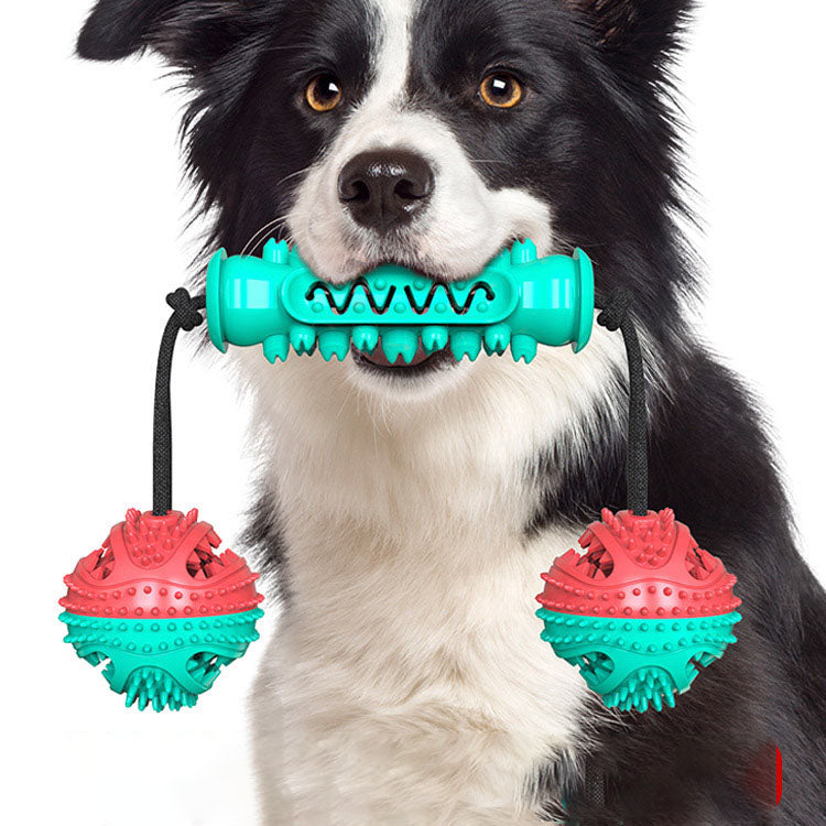 Dog Toy Molar Stick Bite Resistant Toothbrush Dog Toy With Rope 3 Pet Products